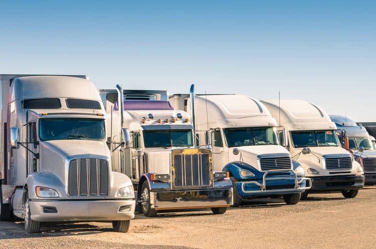 Transportation Company Management